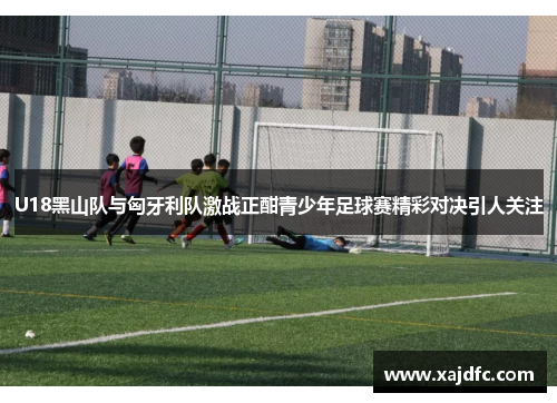 U18黑山队与匈牙利队激战正酣青少年足球赛精彩对决引人关注