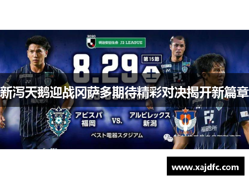 新泻天鹅迎战冈萨多期待精彩对决揭开新篇章